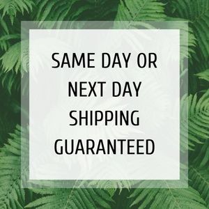 Same Day or Next Day Shipping Guaranteed